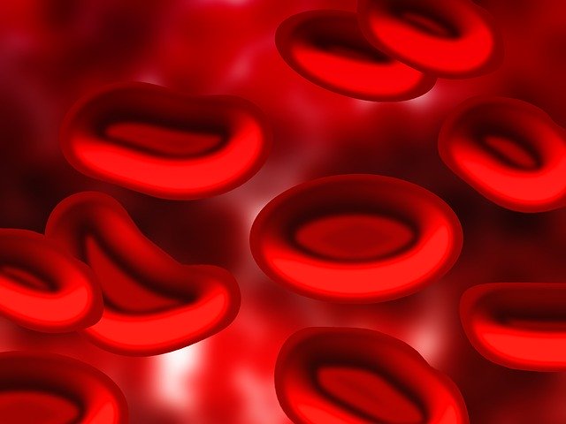 Ферритин в биохимии крови